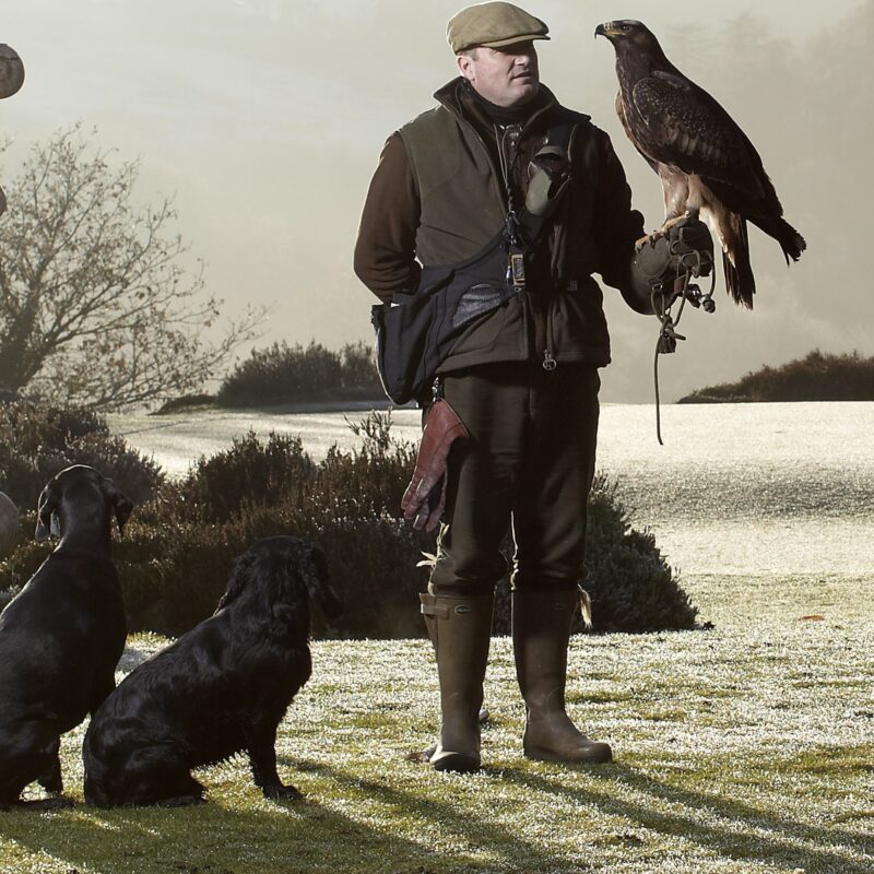 Man holding eagle next to dogs in field