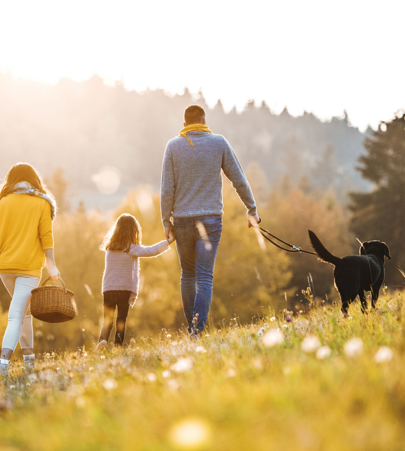 Family enjoying a countryside walk with dog