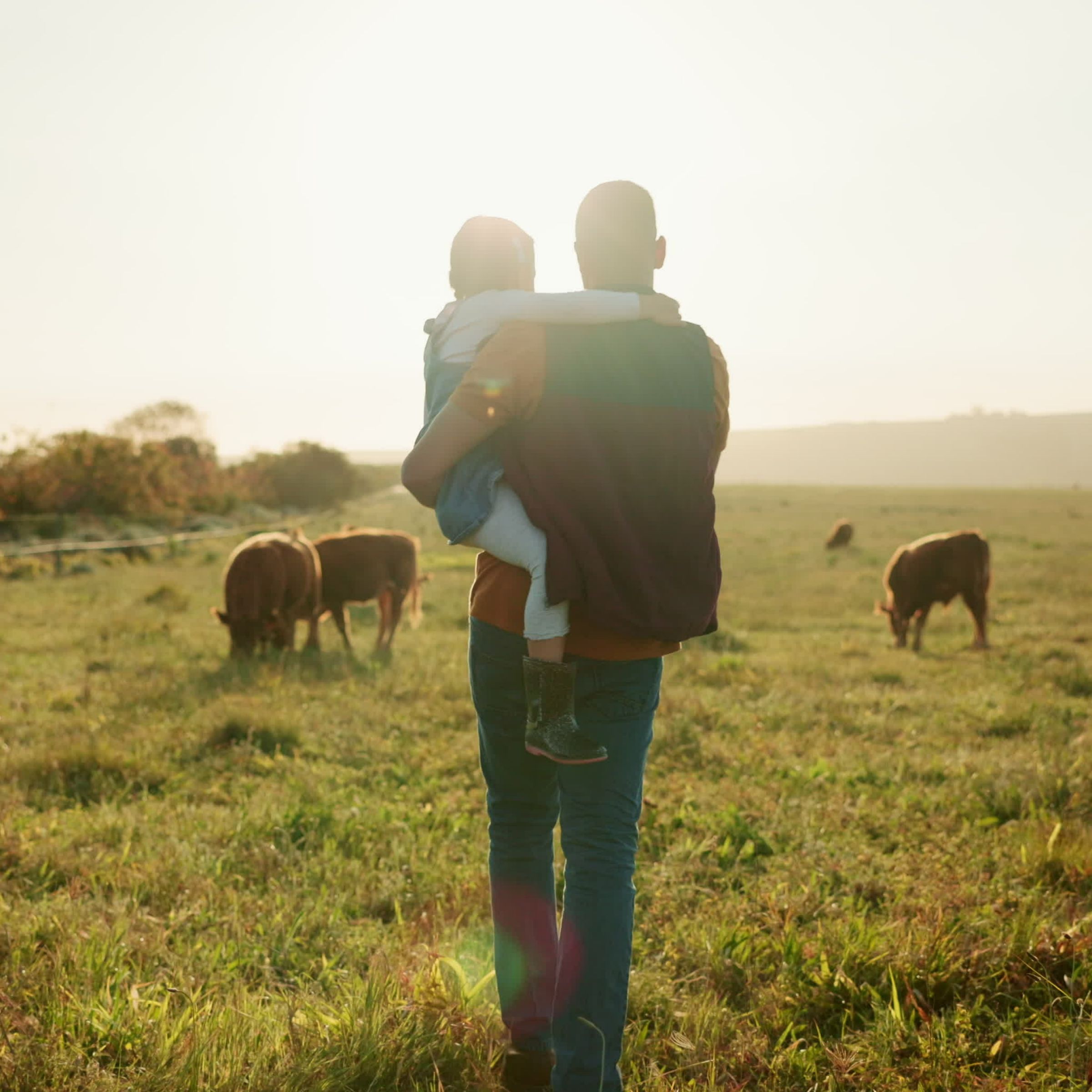 Dad holding child in field of farm animals
